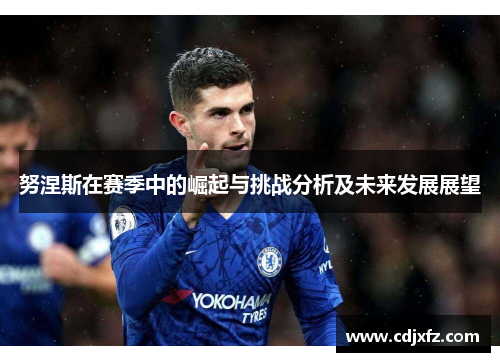 努涅斯在赛季中的崛起与挑战分析及未来发展展望