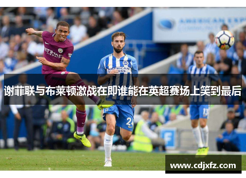 谢菲联与布莱顿激战在即谁能在英超赛场上笑到最后